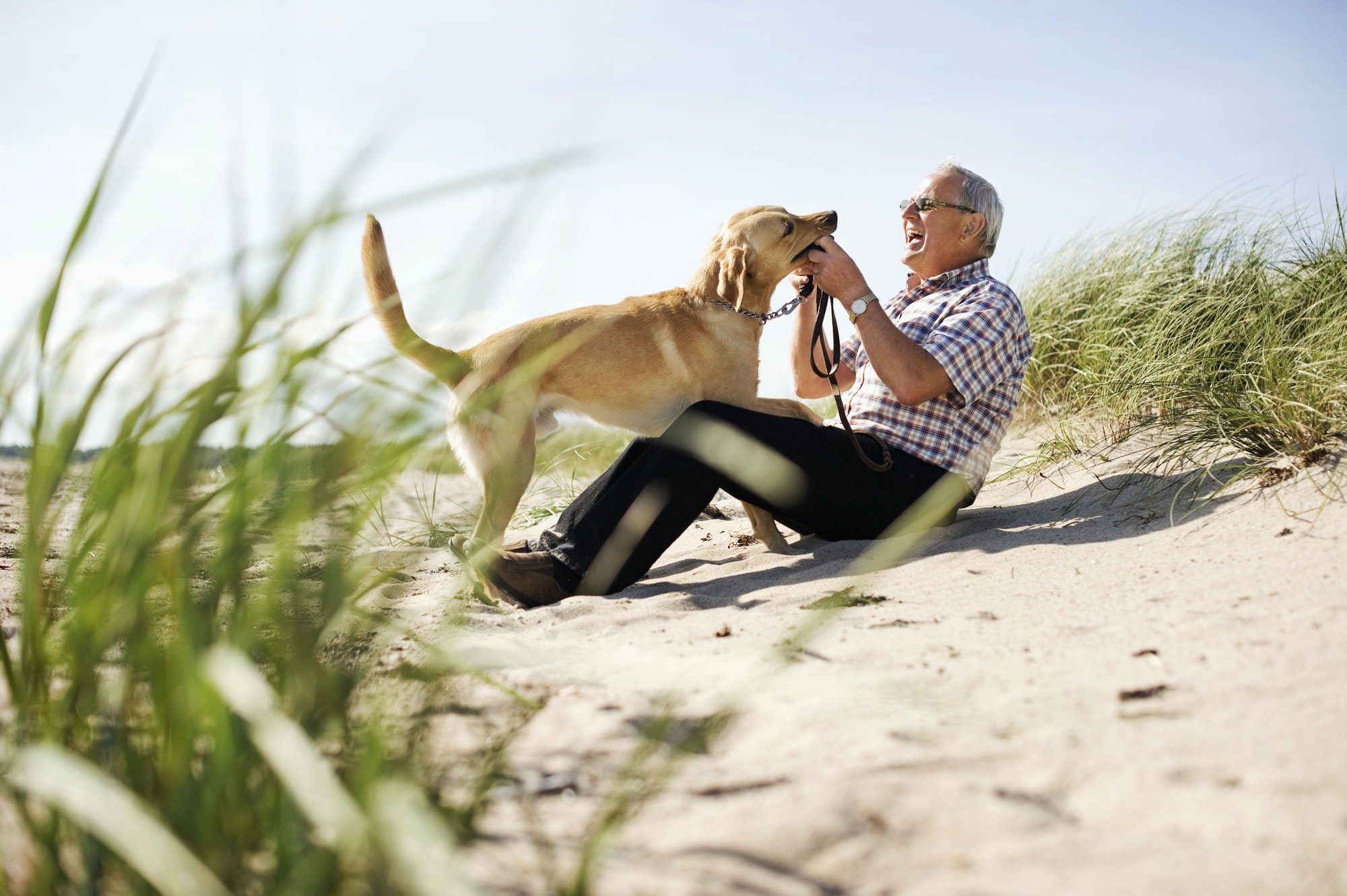 Happy senior man sitting on the beach playing with his dog as he thinks about Tallahassee Memorial Medicare