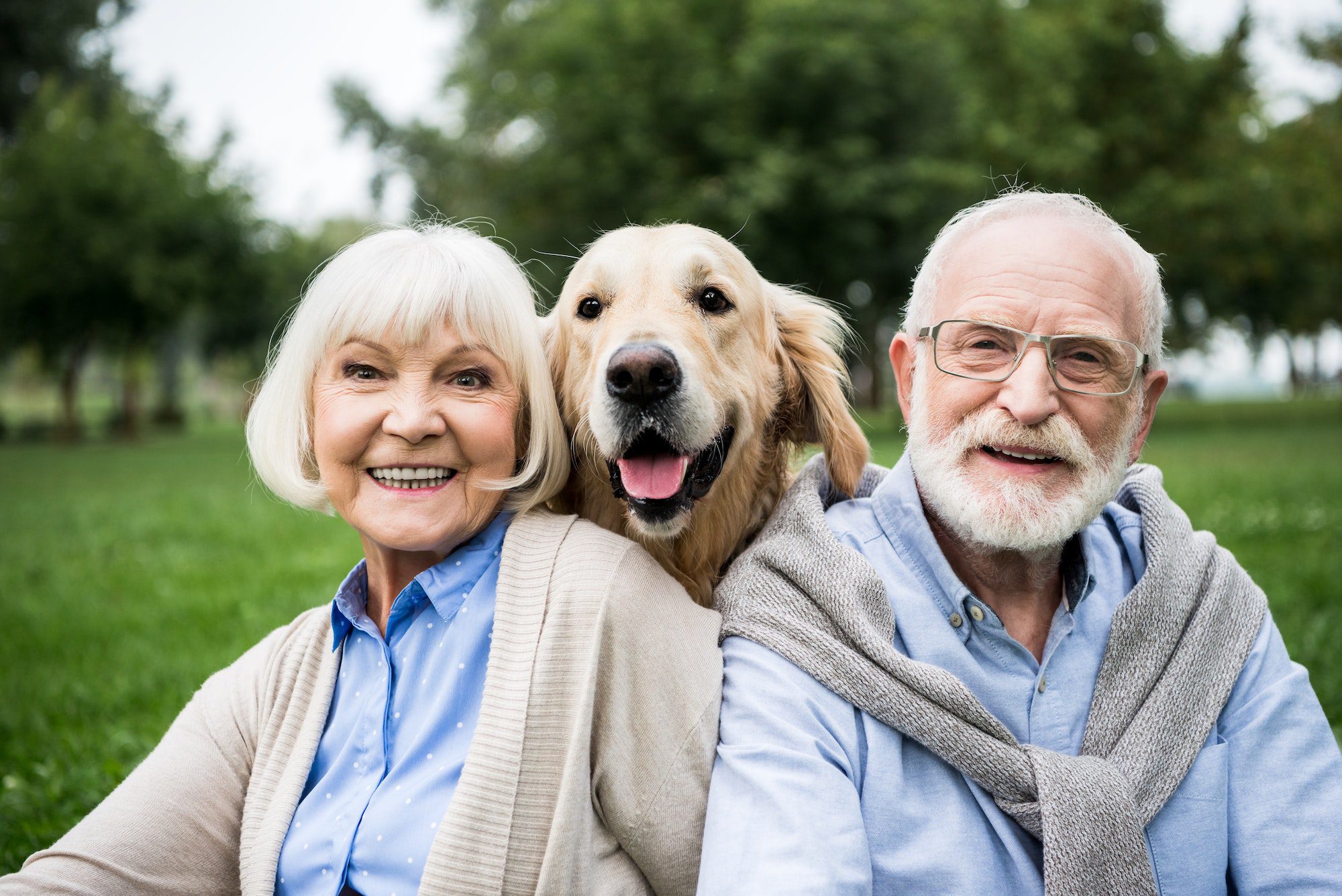happy senior couple with adorable golden retriever dog in park with new Medicare Premiums
